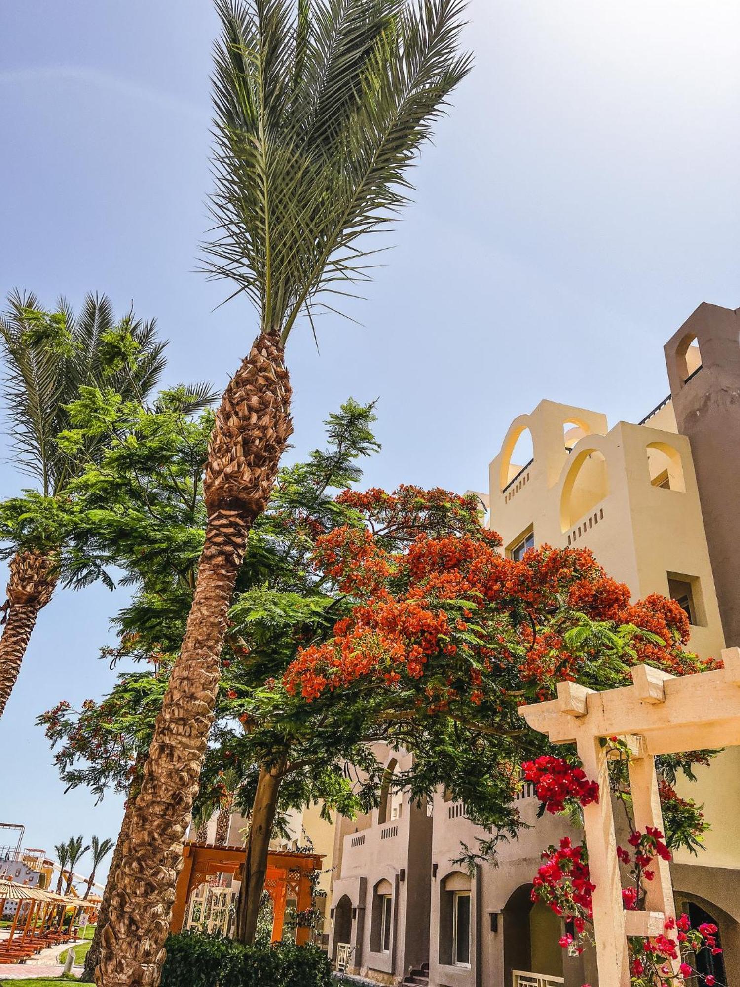 Go Egypt Inside Karma North Al Ahiaa , Apartment *